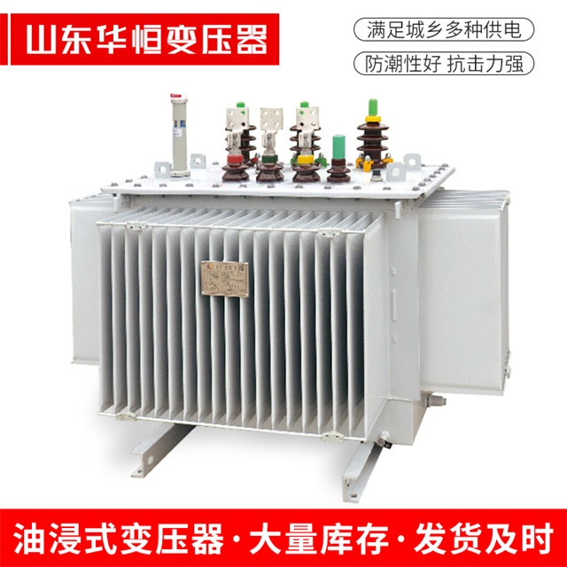 S13-10000/35和布克赛尔和布克赛尔和布克赛尔电力变压器